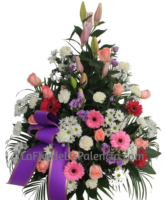 Centro Funerario Variado