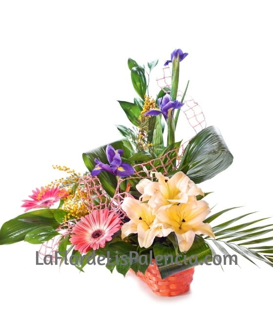 Cesta de Flor Colorida