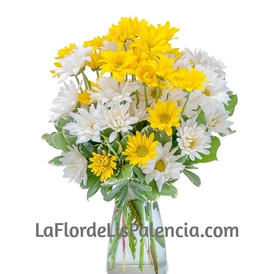 Ramo de margaritas
