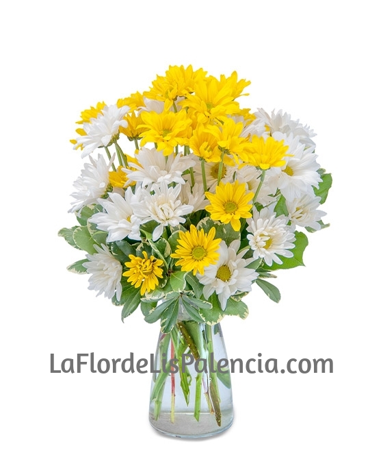 Ramo de margaritas