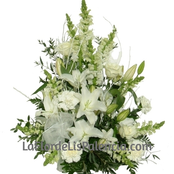 Centro funerario Básico