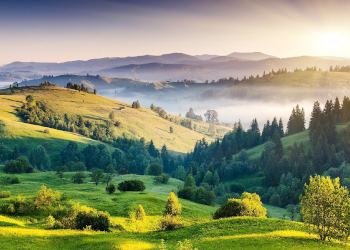 Flores tanatorios de Palencia
