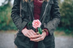Cesta Plantas Bahamas, Regalar Plantas en un Cumpleaños, Planta de Regalo, Floristería Online, Planta de Regalo para un Despacho