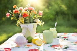 Floristería online, enviar orquideas, enviar plantas, plantas a domicilio, regalar plantas, orquídea, enviar plantas a domicilio, envío de plantas, regalar orquideas, plantas regalo