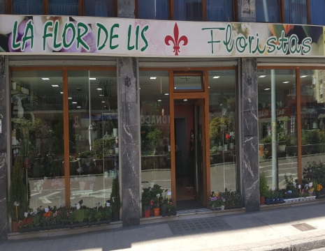 Contáctanos | Floristería La Flor de Lis, tu Floristería en Palencia